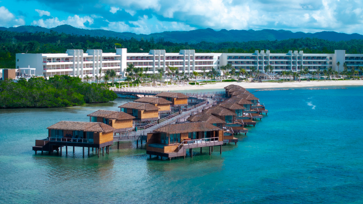 Princess Senses The Mangrove